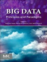 Big data  : Principles and paradigms 