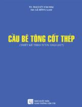Cầu bê tông cốt thép  : (Thiết kế theo TCVN 11823:2017) 