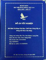 Mô hình tự động cấp hộp, chiết hạt, đóng nắp và đóng gói theo cân nặng 