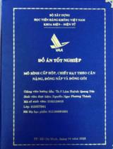 Mô hình cấp hộp, chiết hạt theo cân nặng, đóng nắp và đóng gói 