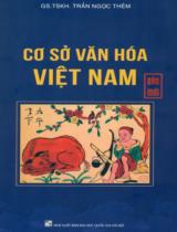 Cơ sở văn hóa Việt  Nam 